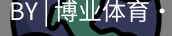 博业体育官网入口